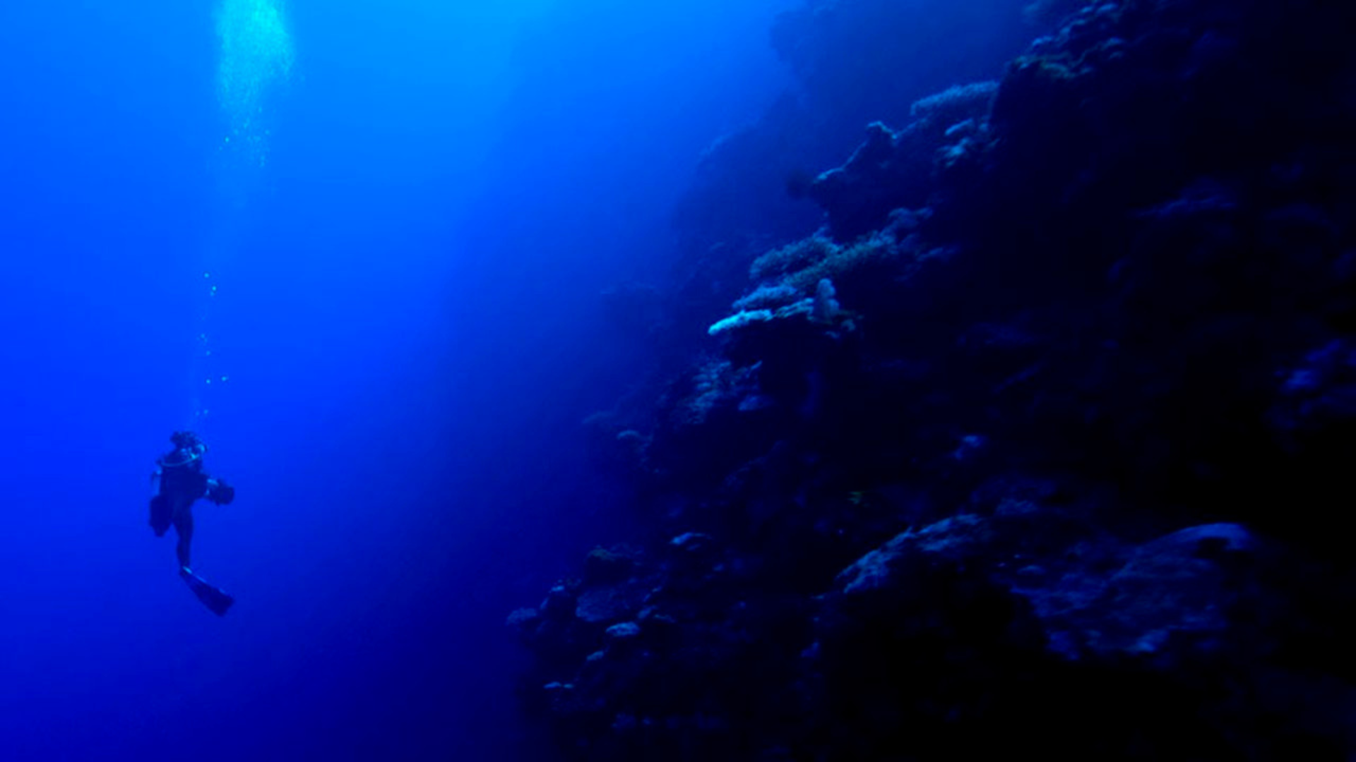 Did you know? LiDAR & Sea Scanning